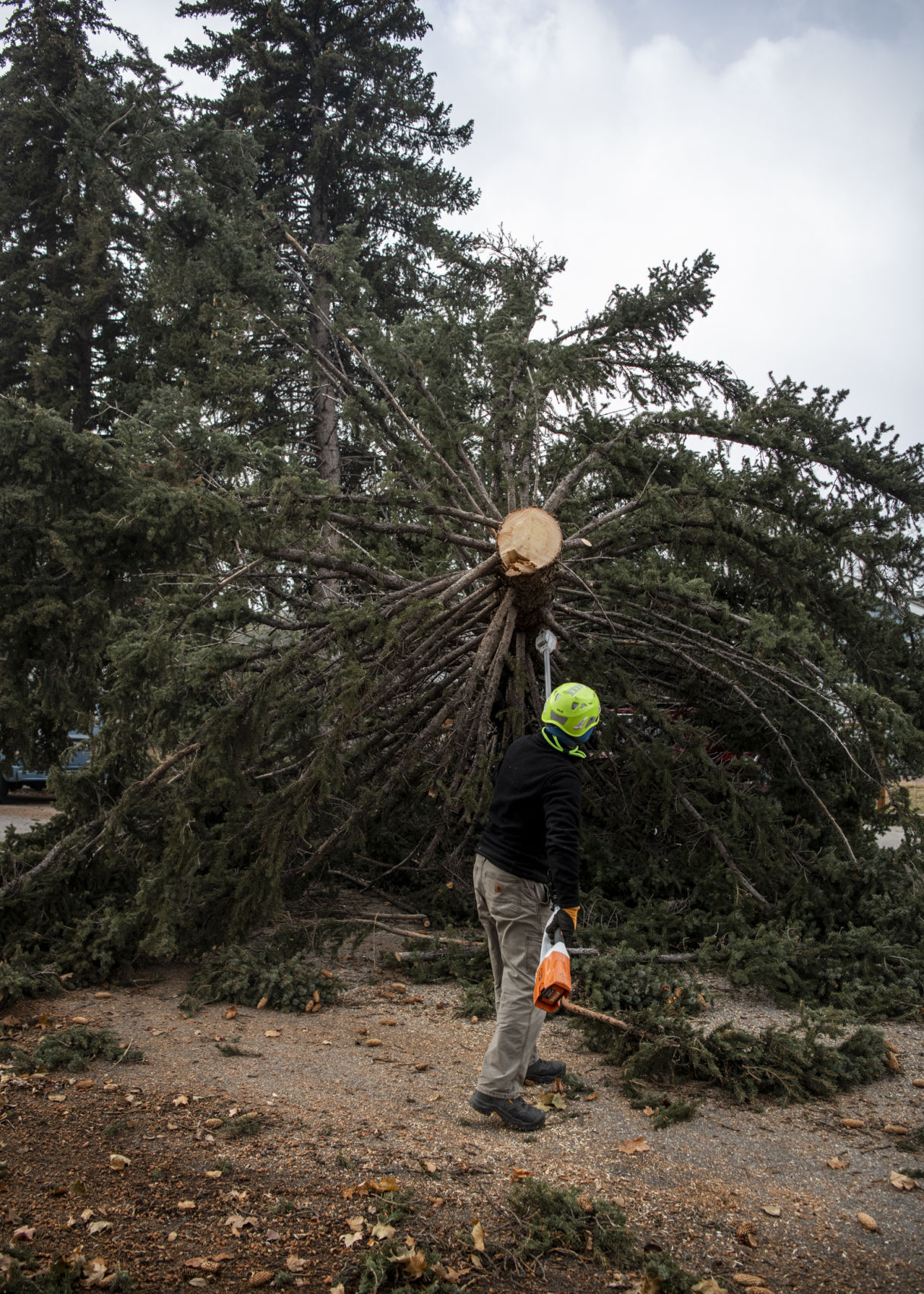Wind storm in Missoula 03